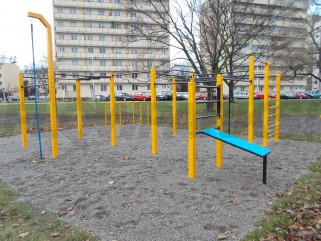 Park do kalisteniki w Warszawie 